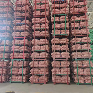 Nuevo cultivo rojo fresco sin pesticidas <span class=keywords><strong>ajo</strong></span> al por mayor mejor calidad precio asequible Ail <span class=keywords><strong>Ajo</strong></span> Fresco semillas de <span class=keywords><strong>ajo</strong></span> <span class=keywords><strong>para</strong></span> plantar - Product Image 6