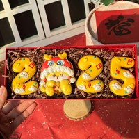 Coffret Cadeau de Biscuits Sucrés Givrés du Nouvel An, Année du Serpent, Décoratif et Créatif