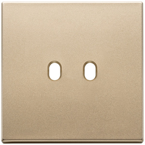Placca da parete vintage in raso oro, 2 moduli, 9,5 pollici di lunghezza, 1,4 pollici di altezza - Product Image 1
