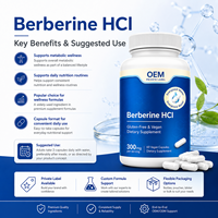 Approvisionnement direct usine, vente en gros, marque privée OEM, supplément en capsules de Berbérine HCL pour soutenir la fonction cellulaire et la fonction métabolique