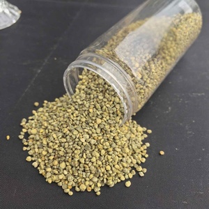 Polen de Habas Fresco al por Mayor de Alta Calidad, Polen de Colza en Polvo, al Mejor Precio - Product Image 1