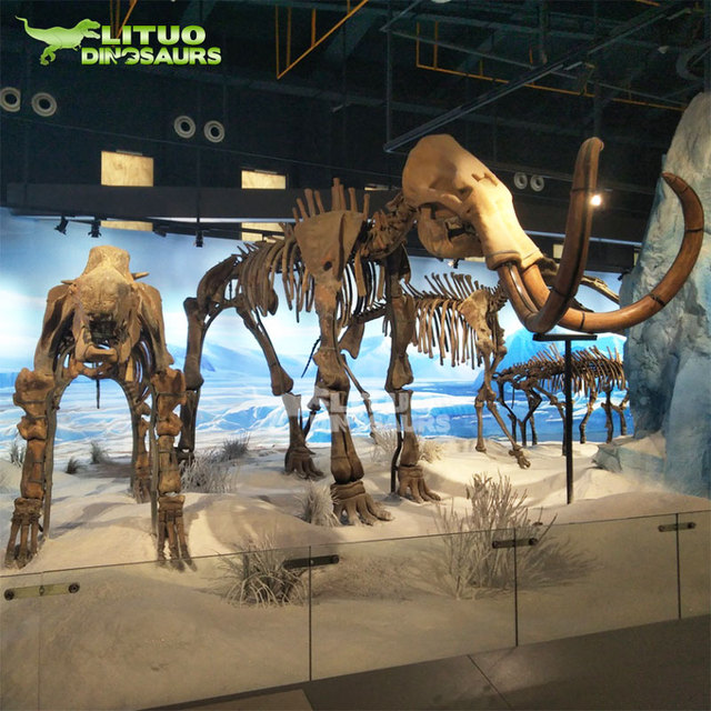 Real Size Mammoth Animal Skeleton Model for Sale