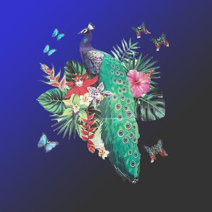 PARIJAT HANDICRAFT Creative Colorful <b>Vinyl</b> <b>Wall</b> Sticker King Birds Nature Design Peacock Butterfly Unique Nature Inspired Decor - Product Image 3