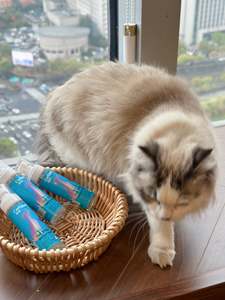 पालतू त्वचा की देखभाल स्प्रे त्वचा की समस्या उपचार त्वचा राहत स्प्रे संवेदनशील त्वचा के लिए गर्म धब्बे को कम करता है - Product Image 3