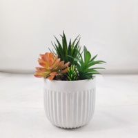 Plantes artificielles succulentes en faux plastique de haute qualité Real Touch Design vert à feuilles persistantes pour la décoration intérieure