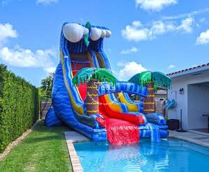 Glissière d'eau gonflable de château de videur de divertissement d'enfants - Product Image 5