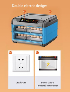 Incubadora de huevos <span class=keywords><strong>abejarucos</strong></span> de cola azul con fuente de alimentación de respaldo para ventas al por mayor - Product Image 3