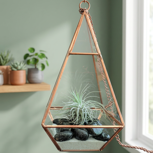 Terrario Geométrico de Vidrio Chapado en Oro, Maceta Colgante para Suculentas, Diseño Moderno y Minimalista para Plantas de Interior - Product Image 2