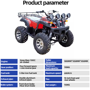 Motocicleta Todoterreno de Cuatro Ruedas JUNCHI, Venta Directa de Fábrica, Certificación CE, 1 Año de Garantía, 230 kg - Product Image 2
