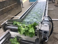 Laveuse industrielle de fruits et légumes à bulles d'air et ozone pour oranges et citrons