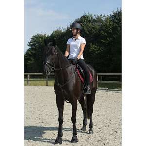 Plastron et martingale pour cheval et poney Romeo, noir - Product Image 3