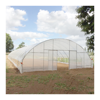 Serre Agricole à Grande Serre Tropicale Cadre en Métal Matériau PE Haute Qualité Horticulture Serre