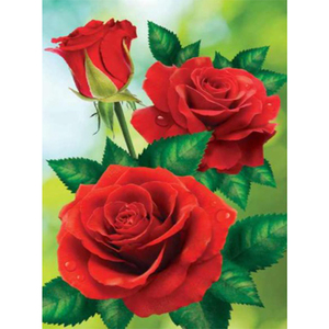 <span class=keywords><strong>Flores</strong></span> <span class=keywords><strong>de</strong></span> fama mundial peonía Rosa girasol Clavel hogar pintura ilustraciones diamante pintura - Product Image 5