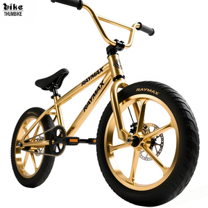 Vélo BMX léger et durable de 16 pouces, cadre en chromoly, vitesse unique, frein TEKTRO U, roues à double paroi de 16 pouces, manivelle SAMOX, VELO - Product Image 2
