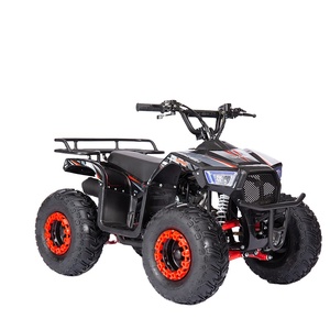 Cuatrimoto ATV de 110cc, <span class=keywords><strong>Dos</strong></span> <span class=keywords><strong>Tiempos</strong></span>, Gasolina, 4x2, para Niños y Adolescentes, con Certificación CE - Product Image 3