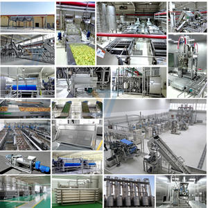 เครื่องผสมผลไม้ SUS304แบบ316สำหรับผลิตมะม่วงสายการผลิตตามสั่ง - Product Image 3