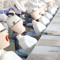Modelo Dental Removible de Boca Completa de 28 Piezas, Producto de Ciencia Médica