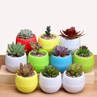 Mini pot de fleurs circulaire en plastique moderne, écologique et durable pour plantes succulentes, décoration de bureau à domicile
