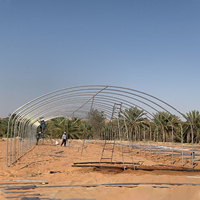 Serre tunnel agricole commerciale en film plastique de 8x30 mètres pour tomates, roses et champignons