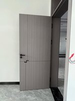 Portes ignifuges intérieures élégantes en bois pour hôtels écoles appartements immeubles de bureaux salons