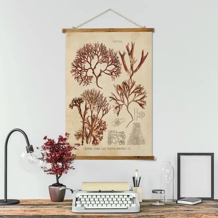 विंटेज डिजाइन कैनवास प्रिंट पौधे फूल की दीवार लटकाने प्रिंट कस्टम रेट्रो दीवार स्क्रॉल चुंबकीय फ्रेम के साथ
