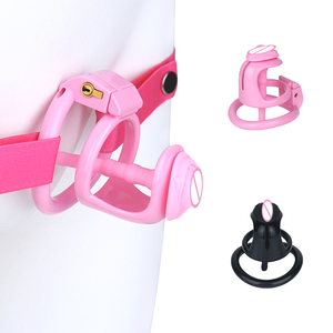 Cage <span class=keywords><strong>de</strong></span> chasteté masculine en résine légère pour hommes, petite cage à pénis, mini cage <span class=keywords><strong>de</strong></span> chasteté féminine inversée pour gays - Vente en gros - Product Image 1