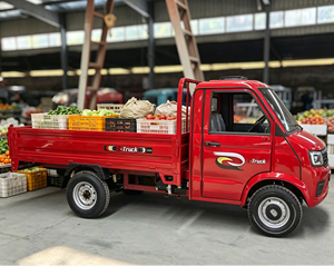 <span class=keywords><strong>Furgone</strong></span> Elettrico Agricolo a Quattro Ruote per Trasporto Merci e Passeggeri con Motore da 2 kW, 2 Porte, <span class=keywords><strong>Rosso</strong></span>, Batteria da 50-70kWh - Product Image 5
