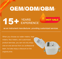 Medidor de Agua Ultrasónico DN15 IP68 OEM Roscado de Latón R200 R400 R800 Compatible con Protocolo RS485 Modbus Admite OEM