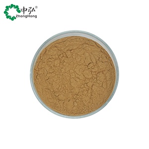 Polvo de polifenoles de té 98% extracto de té verde de alta calidad - Product Image 3