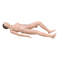 Maniquí de PVC Multifuncional para Entrenamiento Escolar, Modelo Anatómico para Cuidado del Paciente y Enfermería