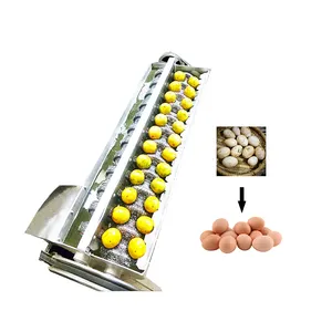 automatic hen egg cleaner equipment/duck egg washing machine/egg cleaning machine for processing egg