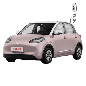 Use car ev cheap new new energy vehicles new electric car for sale in china used sale mini adults vehicles auto