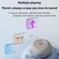 Speaker TG-442 Mini 5.3 3W dengan Suction Cup, Tahan Air IPX4, Nirkabel, Radio FM, Slot Kartu TF, Logo OEM, untuk Kamar Mandi