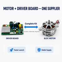 Motor BLDC para Electrodomésticos de Cocina, Personalizado OEM, 110V-220V 50/60Hz, Clase F, Aislamiento, Control de Velocidad PWM, Bobinado de Cobre