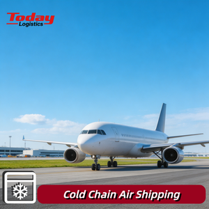 Competitive Rate <b>Air</b>+Express Temperature Controlled Logistics Insulated Warehousing Packing Support Canada Australia New Zealand - Product Image 1
