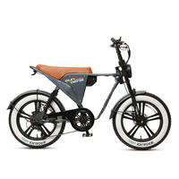 Vélo électrique Fat Bike 48V 500W, pneus larges 20x4.0, moteur arrière à vitesse unique, batterie au lithium, écran LCD, style moto, vélo électrique pour adultes