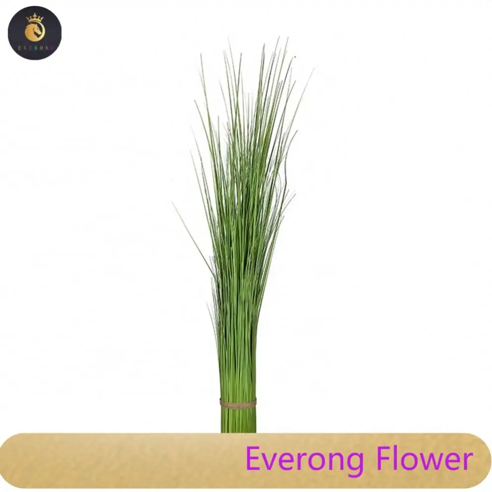 XQ-5074 pianta decorativa per interni con erba in vaso di cipolla in pvc artificiale alta 120cm