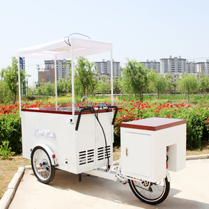 Triciclo de carga frontal, bicicleta de helado para venta, bicicleta con congelador - Product Image 2