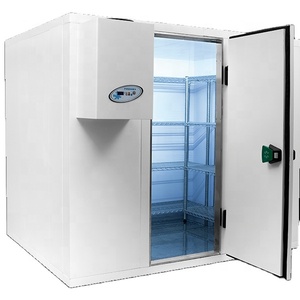 Kích Thước Tùy Chỉnh Đóng Băng Phòng Đi Bộ Trong Mát Đơn Vị Lạnh Thương Mại Lạnh Mát Lạnh Phòng - Product Image 1