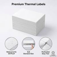 Etiquetas de Papel Adhesivo Térmico en Forma de Acordeón de 100x150 mm, 500 Unidades por Paquete, Etiqueta de Envío de 4x6, Resistente al Agua y al Aceite, para Impresora POS Epson