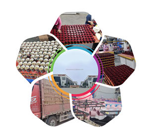 Tasses en émail de camping personnalisées <span class=keywords><strong>avec</strong></span> logo, 350 ml/12 oz, en acier métallique moucheté, <span class=keywords><strong>avec</strong></span> poignée, pour café et lait, vente en gros - Product Image 6