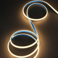 Lumières néon LED en silicone en forme de D, basse tension, 2835 12V/24V, étanches, flexibles, à intensité variable pour l'extérieur