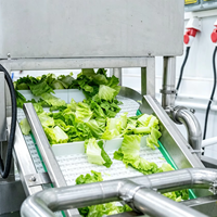 Industriële automatische fruit- en groentewaslijn voor bladgroenten en wortelgewassen, inclusief productie-apparatuur met bubbelwasser