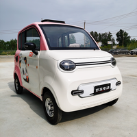 Petite Voiture Électrique Mini-Véhicule Électrique 1000W Sans Permis de Conduire, Haute Qualité et Économique 2025 pour Adulte Fabriqué en Chine
