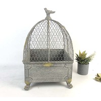 Jardinière en métal rouillé en forme de cage à oiseaux avec finition en dôme, style ferme, sur pieds, pour plantes vertes et succulentes