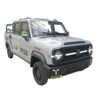 Voiture électrique NUEN 4 places, quatre portes, capacité de chargement, haute qualité, prix usine, moteur 2000W, vitesse 50 km/h, autonomie <100 km