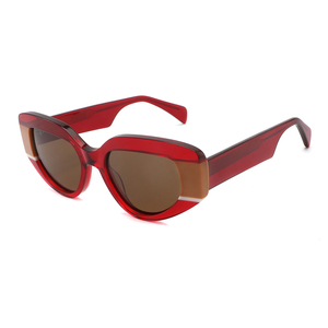 Lunettes de <span class=keywords><strong>soleil</strong></span> oeil de chat design mode 2025 pour femmes forme polygonale irrégulière avec verres polarisés UV400 et monture en acétate - Product Image 5