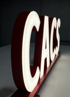 Lettres en relief 3D en acrylique personnalisées avec éclairage frontal LED, logo, enseigne de magasin extérieure, décoration murale pour entreprise