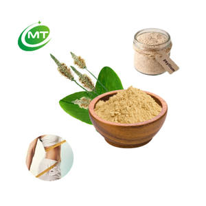 आईएसओ कारखाने की आपूर्ति आयातित कच्चे माल थोक थोक 100% प्राकृतिक उच्च गुणवत्ता वाले आहार फाइबरपेसिलियम भूक पाउडर - Product Image 1