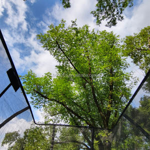 <span class=keywords><strong>Trampoline</strong></span> rectangulaire Zoshine 10x14FT - <span class=keywords><strong>Filet</strong></span> de sécurité intégré pour la famille, la gymnastique et l'entraînement en extérieur - Product Image 5